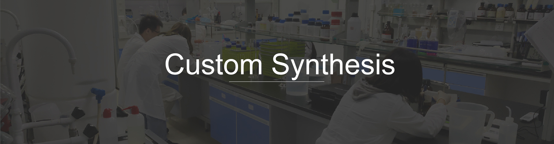 Custom Synthesis