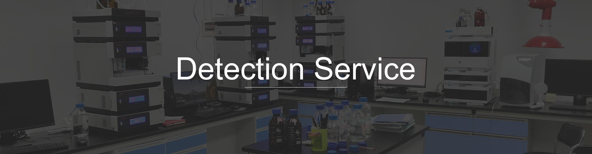 Detection Services